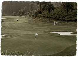 Golf Courses