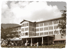 Tea Factories