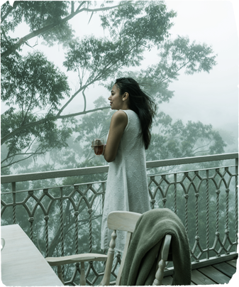 Morning walk in tea estates
