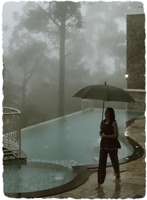 best 5 star resorts in munnar